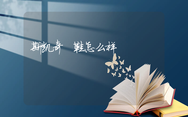 斯凯奇 鞋怎么样插图
